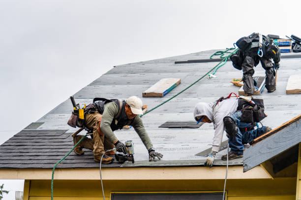 Professional Roofing technician working in Exline, IA